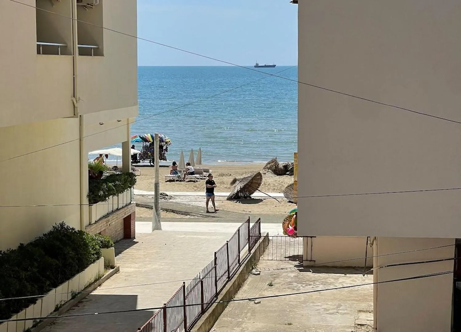 Turtle - Apartment Near The Beach location